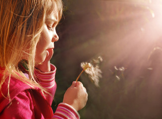 Blowing dandelion