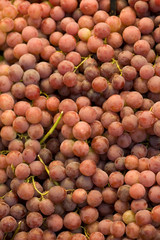 Grapes