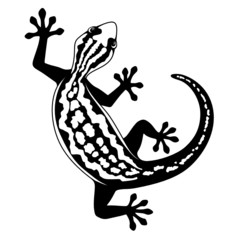 L&eacute;zard vectoriel noir et blanc