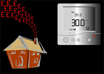 House Digital Thermostat Pound