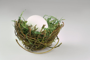 White egg in nest on gray background