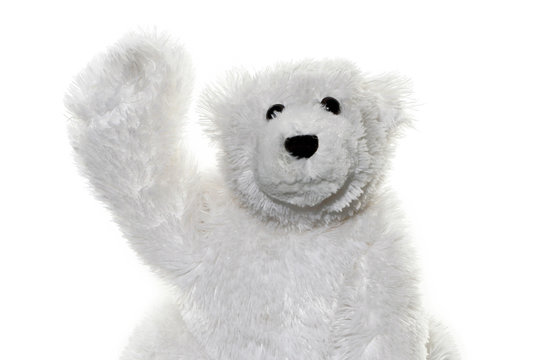 toy teddy bear says hi hello