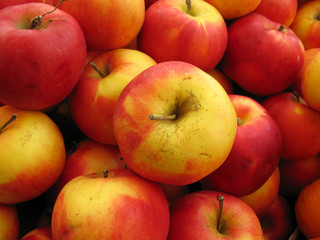 Apples bio food