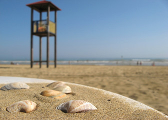 Lifeguard tower on the beach with seashells in foreground