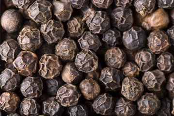 Black Peppercorn