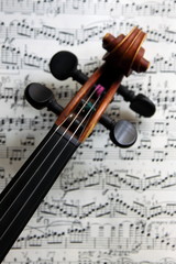 violin on sheet music