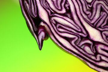Obraz premium Red cabbage