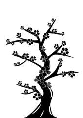 floral abstrakt background