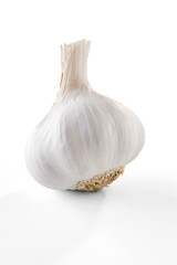 Garlic head over white