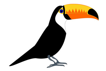 Naklejka premium A isolated tucan bird