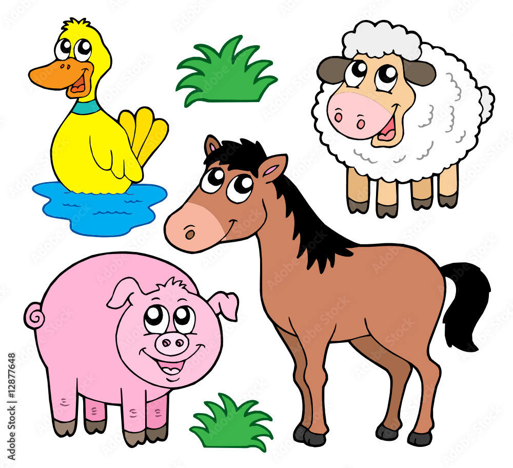 Canvas Prints farm animals collection 5