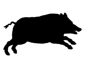 Die schwarze Silhouette eines laufenden Wildschweins