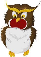 Owl