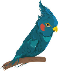 Parrot