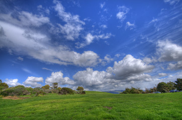 Obraz premium Green Grass Landscape and blue cloudy sky HDR