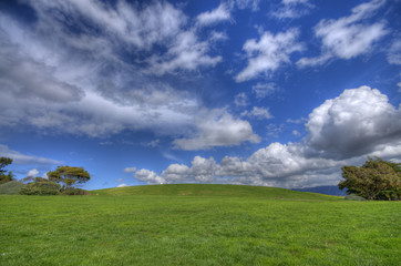 Fototapeta na wymiar Green Grass Krajobraz i pochmurne niebo niebieskie HDR