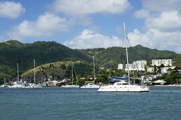 Fototapeta na wymiar Port Martinique1