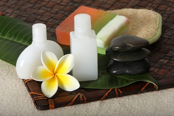 Tropical Beauty Day Spa