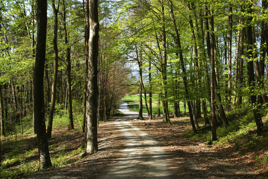 Waldstrasse
