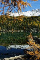 Herbst am Saoseosee