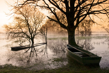 Lever de soleil sur le marais de Goulaine