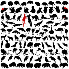 Hundred silhouettes of wild rare animals from Australia © Rey Kamensky