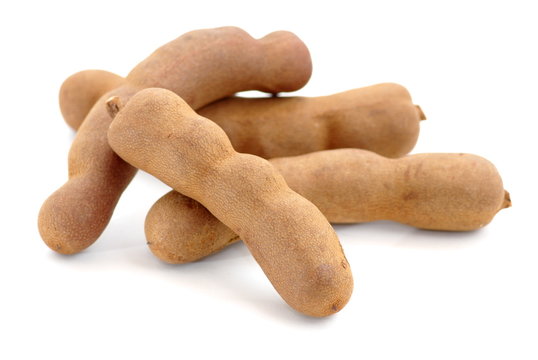 tamarins sur fond blanc