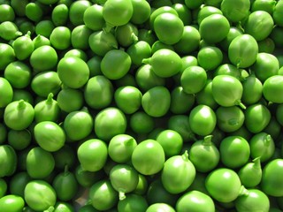 petits pois