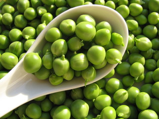 petits pois