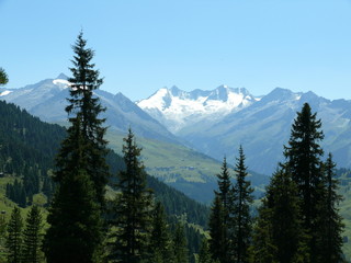 Blick von den Kitzbüheler Alpen zur Reichenspitzgruppe