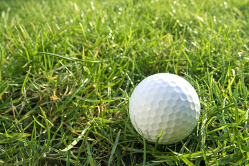 Golf ball