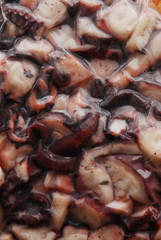 Polpo sottovuoto