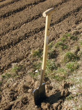 Stagione della semina