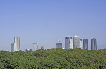 Fototapeta na wymiar 緑の森と高層ビル
