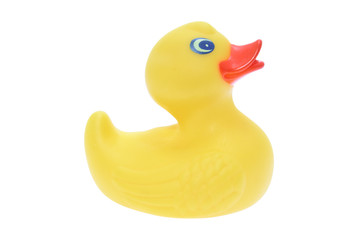 Rubber Duck