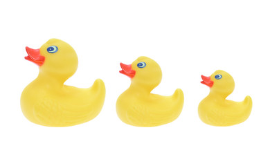 Rubber Ducks