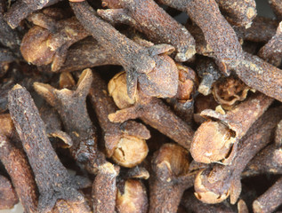Rose-apple - clove - close-up