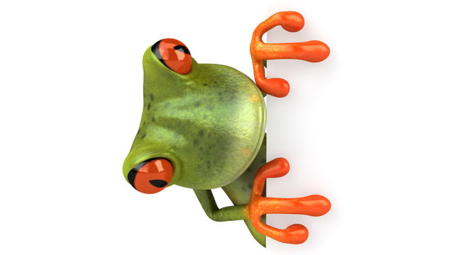 Grenouille avec un panneau