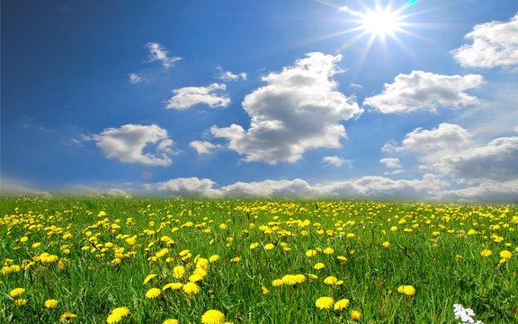 Landschaft Wolken Wiese Sonne