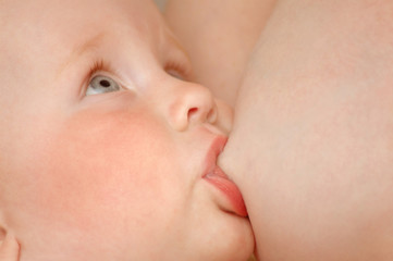 The baby sucks a breast
