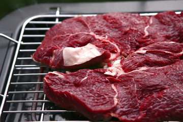 raw meat on bbq