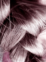 Human Hair - Close Up