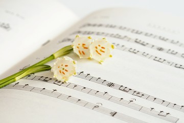 Flower and notes