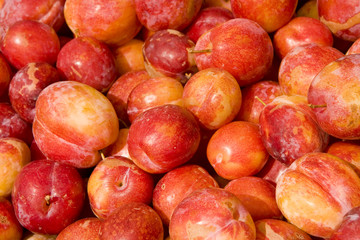 Red Juicy Plums