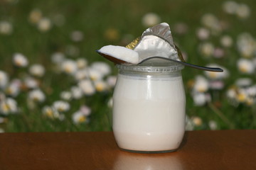 yaourt ,bouteille ,pot,verre,frais,fraicheur,lait,crème,calcium