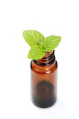 peppermint oil
