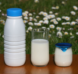 milk,lait,yaourt ,bouteille ,pot,verre,frais,fraicheur,crème