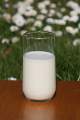 milk,lait,yaourt ,bouteille ,pot,verre,frais,fraicheur,crème