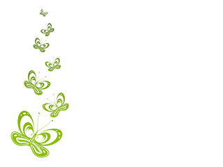 Schmetterlinge,Hintergrund grün