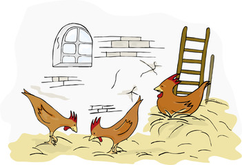 Drei H&uuml;hner im Stall